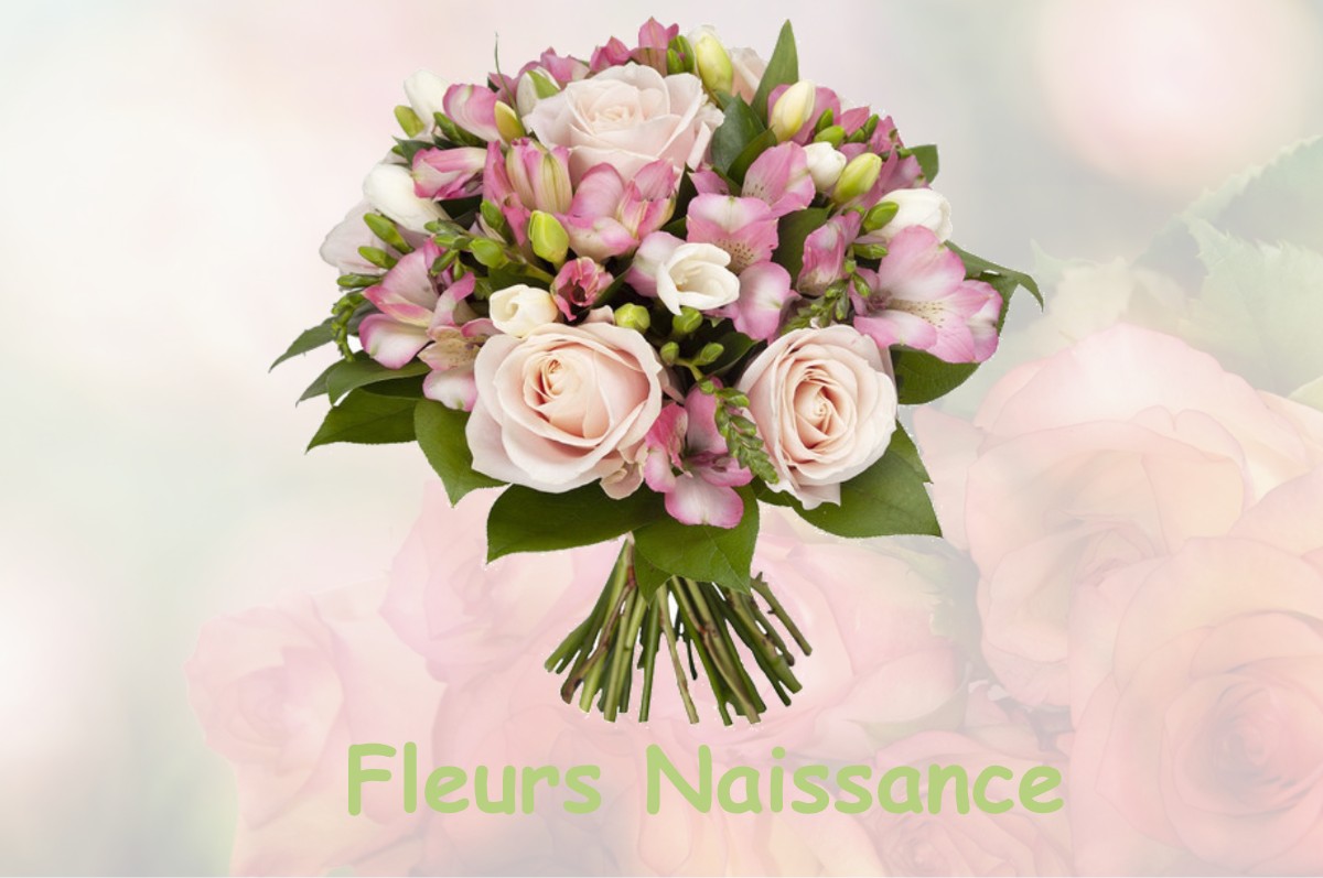 fleurs naissance SAINT-MARTIN-DE-FRAIGNEAU