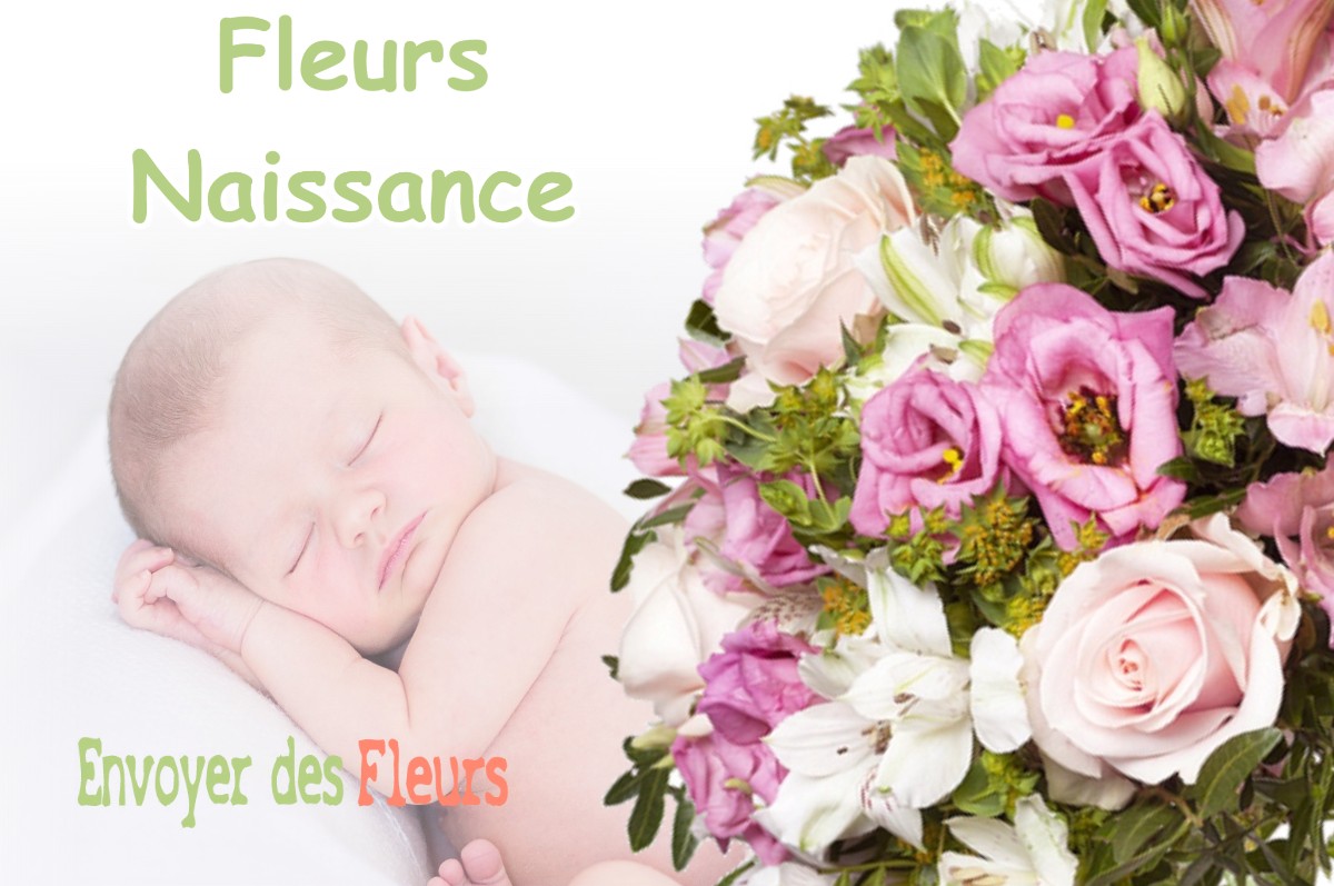 lIVRAISON FLEURS NAISSANCE à SAINT-MARTIN-DE-FRAIGNEAU